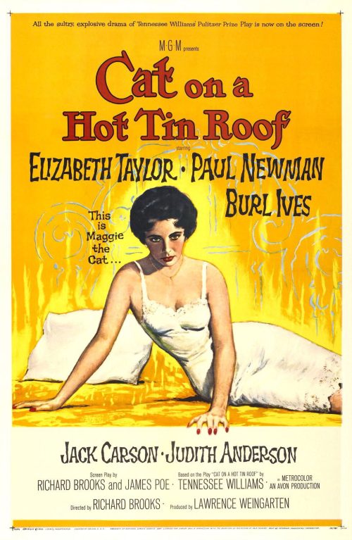 The film poster for "Cat on a Hot Tin Roof."