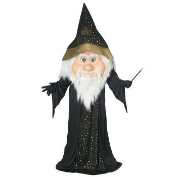 The mysterious wizard.