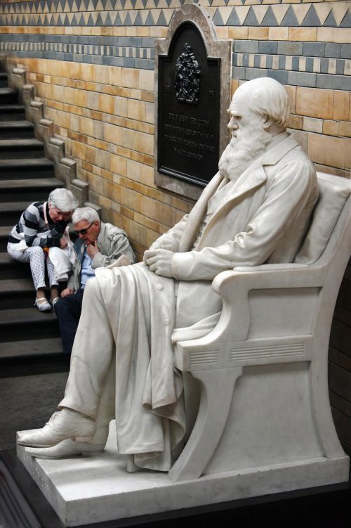 A statue of Charles Darwin.