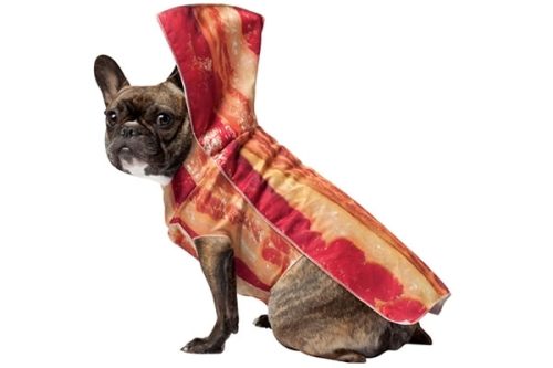 A dog dressed as bacon in a Halloween costume.