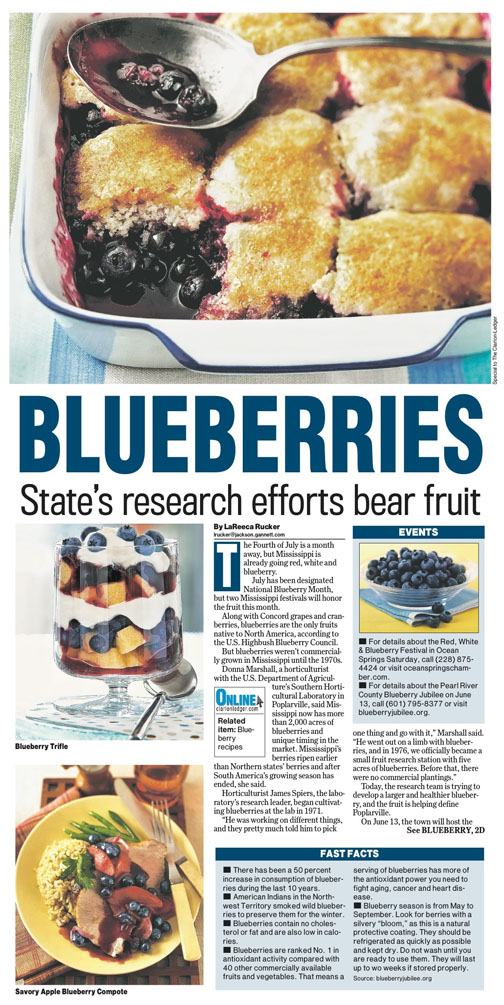 A features article about blueberries featuring blueberry recipes.